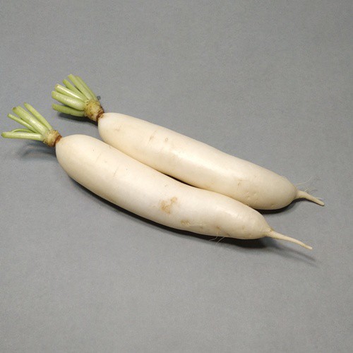 白玉蘿蔔種子~~冬季經典蔬菜，初學者必種品種