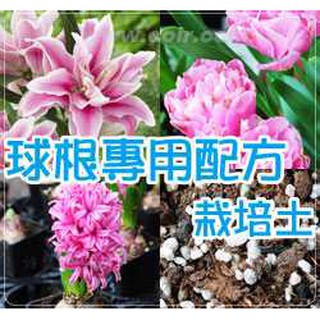 現貨 全館790免運 球根專用栽培土 4公升 蝦皮購物