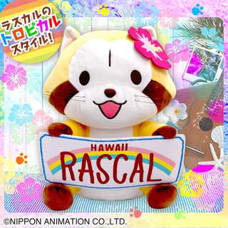 日版 拉斯卡爾 拉斯 卡爾 小浣熊 浣熊 Puchi Rascal 禮物 皮皮 玩偶 抱枕 38cm×30cm 現貨