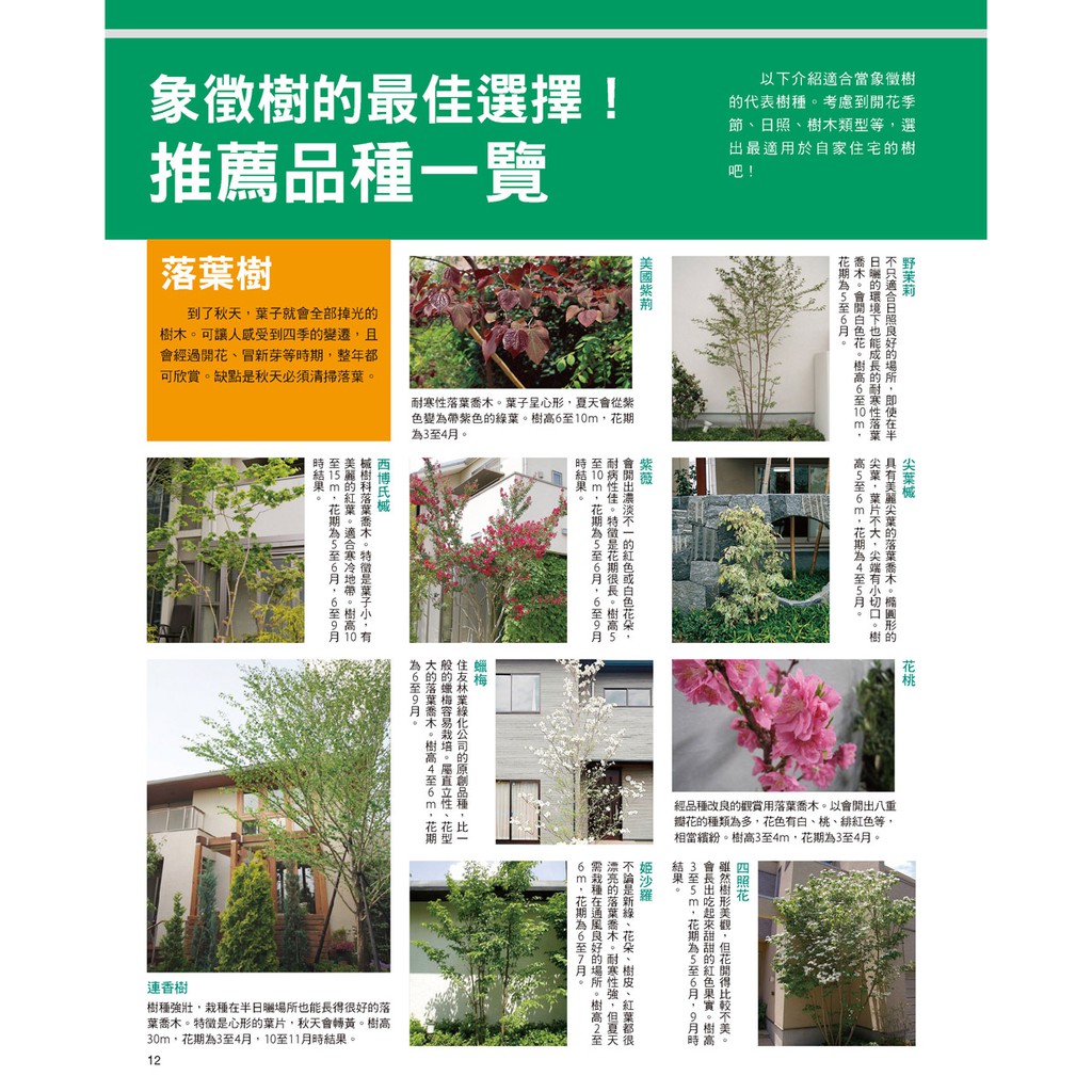 噴泉 木工 造景綠意的庭園diy 蝦皮購物