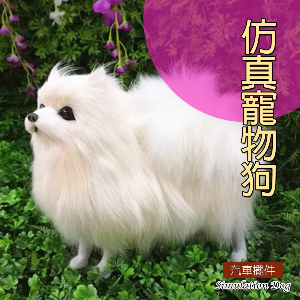 仿真寵物狗博美犬 博美狗 松鼠犬 仿真狗 寵物玩偶 動物模型 兒童節 可愛 擺飾 04 現貨q148 蝦皮購物