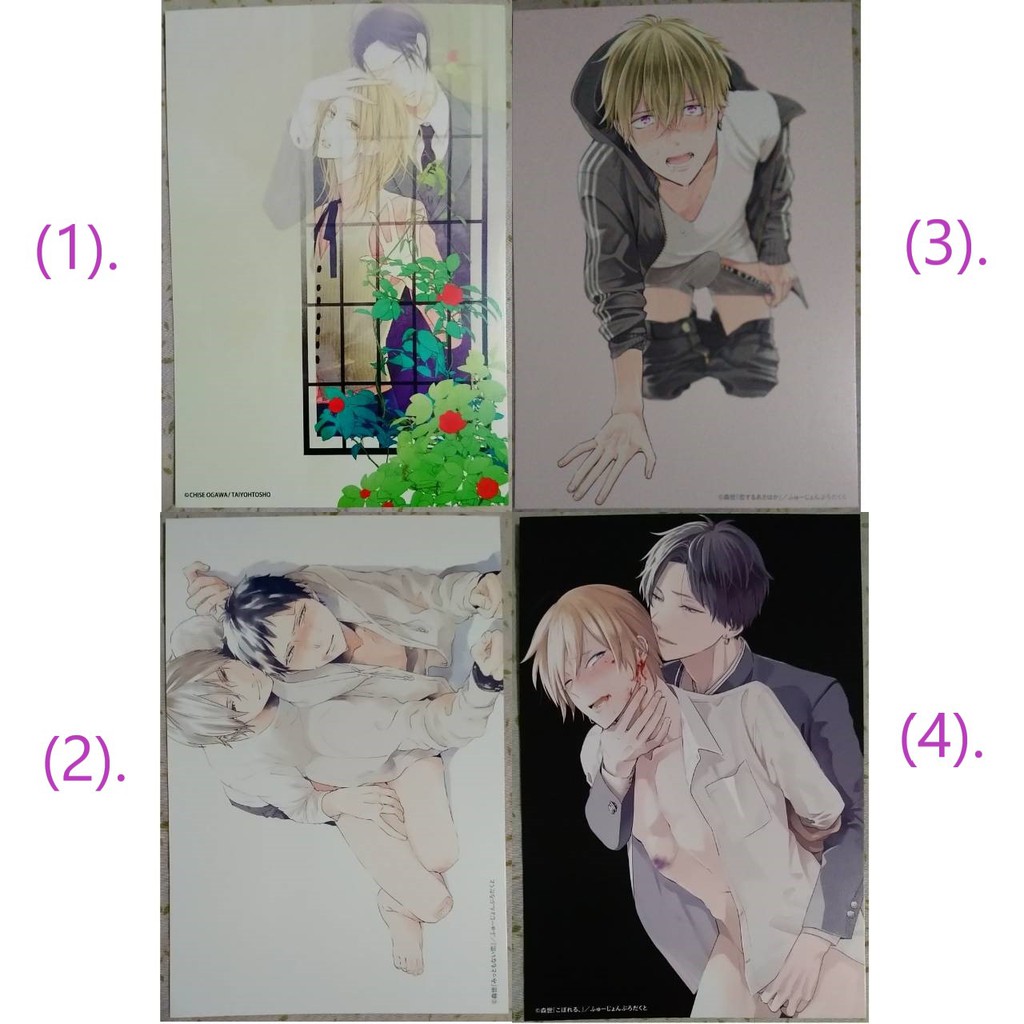 日版圖卡 森世緒川千世 被監禁的王子 こぼれる 恋するあさはか みっともない恋 Bl漫畫 蝦皮購物