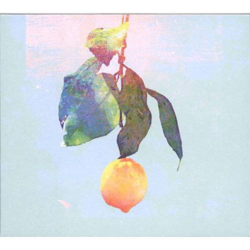 Lemon Cd的價格推薦 21年7月 比價比個夠biggo