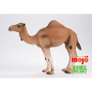 玩得購【MOJO FUN 動物模型】動物星球頻道獨家授權-駱駝 387113