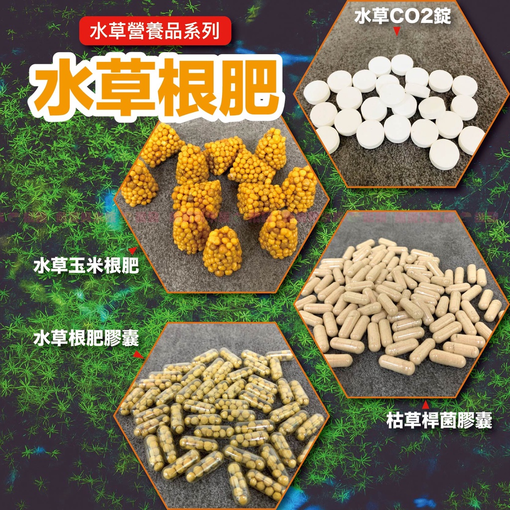 【魚寶貝】水草根肥〝有利於水草生長茁壯，不影響PH、KH值(水草CO2錠、水草玉米根肥、水草根肥膠囊、枯草桿菌膠囊