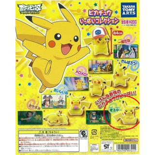 🌸YYB SHOP🌸 精靈寶可夢 神奇寶貝 皮卡丘造型公仔 扭蛋 轉蛋