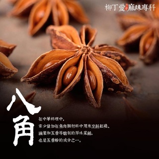 柳丁愛 八角 大茴香100g【A217】