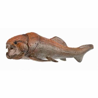 COLLECTA動物模型 - 鄧氏魚(活動嘴巴)