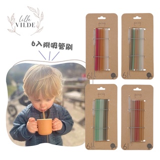 丹麥By Lille Vilde 矽膠吸管六入組 鉑金矽膠 環保吸管