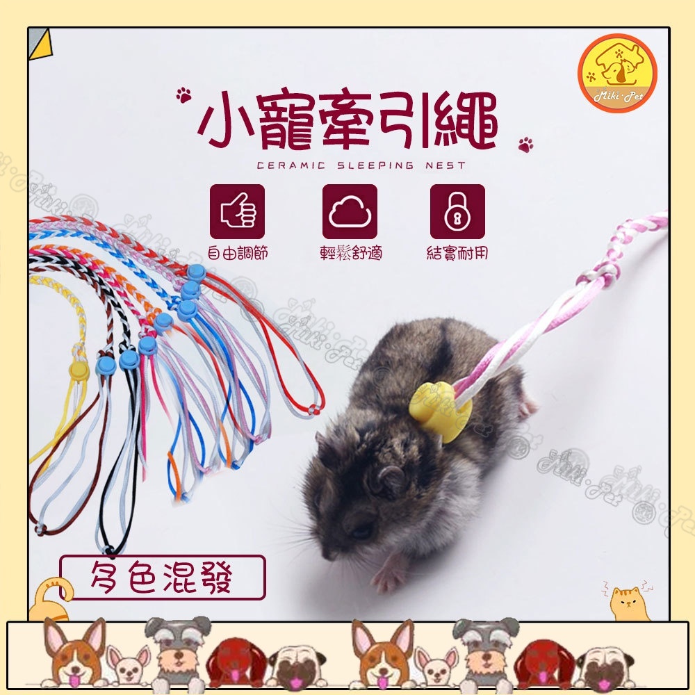 黄金鼠 優惠推薦 22年9月 蝦皮購物台灣