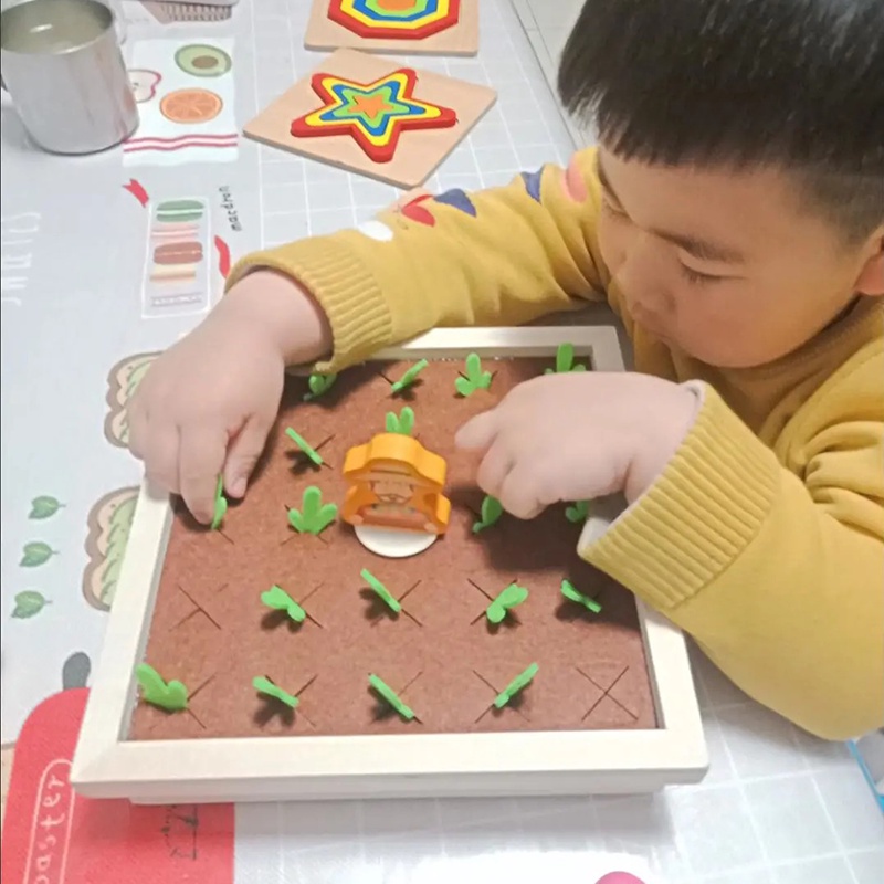 銓媽咪 桌面遊戲玩具  趣味桌遊 寶寶拔蘿蔔玩具 蒙氏早教 兒童益智桌遊 多功能記憶桌遊  多人親子互動 0-3歲