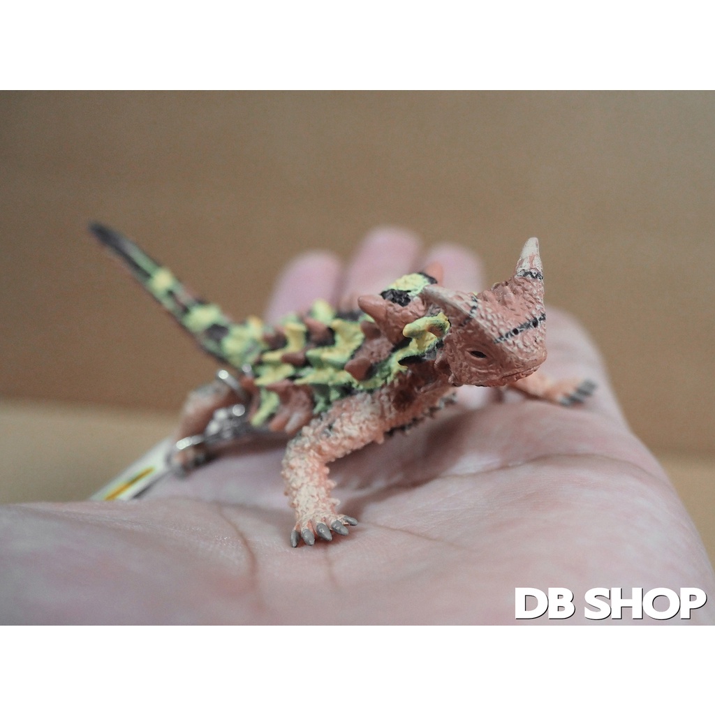☆杜比☆    collectA  澳洲魔蜥 棘蜥 動物模型 仿真動物 兒童玩具 早教