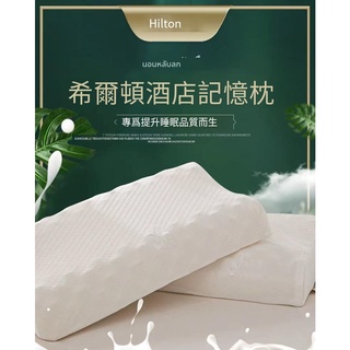 💥【海豚優選】💥 枕頭 100%泰國乳膠枕 防蹣抗菌枕芯 護頸 記憶 天然乳膠枕 人體工學 防蹣 記憶枕