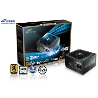 FSP 全漢 HPT2-650M / HYDRO PTM PRO 650W電源供應器