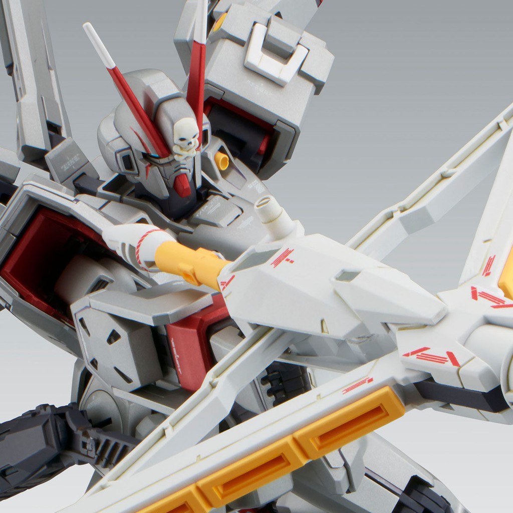 全新 現貨 PB魂商店 限定 MG 1/100 CROSSBONE GUNDAM X0 Ver.Ka 骷髏鋼彈 骨十字