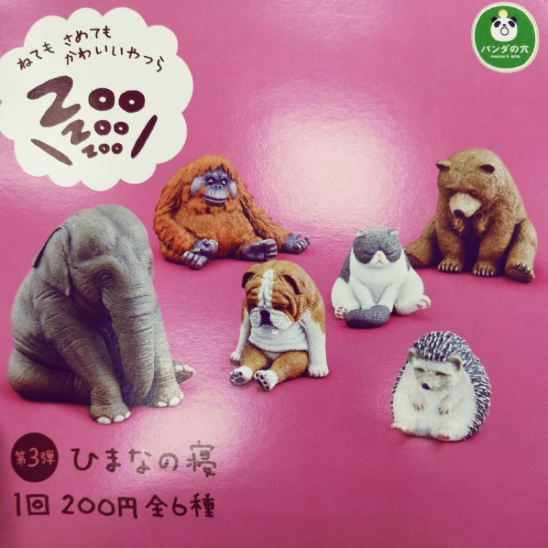 ¥¥整組下標區 睡眠系列 休眠動物扭蛋 zoo 棕熊 大象 紅毛猩猩 刺蝟 鬥牛梗 貓