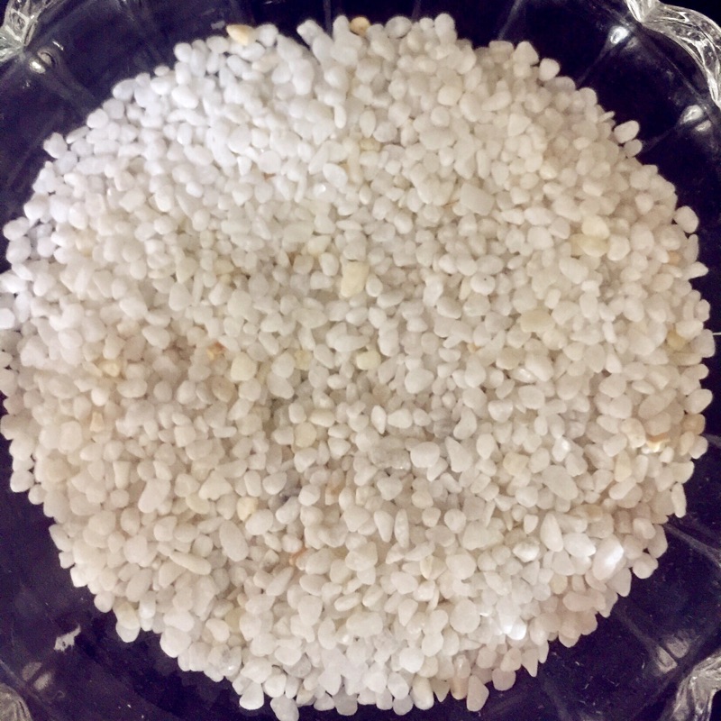 彩虹騎士 天然米白砂石 100克 魚缸底砂 魚缸造景 水草缸 水晶蝦 魚缸 蝦皮購物