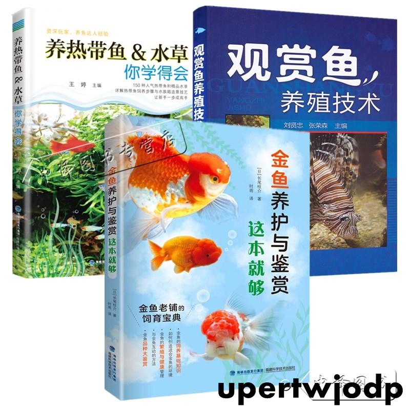 金魚養護與鑒賞這本就夠 養熱帶魚 水草你學得會 觀賞魚養殖技術熱帶魚養殖書籍水族箱養魚喂養技巧大全常見魚病防治技術