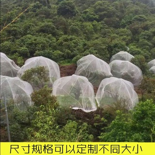 優品#果樹防蟲網 #防蟲網罩 *新款大棚楊梅網罩櫻桃防蟲防鳥網罩306