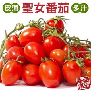 嚴選臺灣聖女小番茄(每盒600g±10%含盒) 0運費【果農直配】聖女蕃茄 聖女番茄 聖女小蕃茄