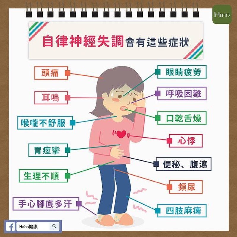 營養諮詢 自律神經失調 頭痛 耳鳴 生理期 心悸 失眠 便秘 頻尿 多汗 蝦皮購物