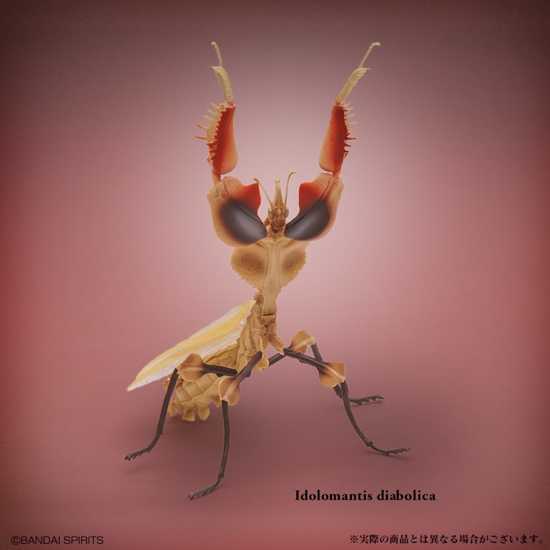 《 一番賞 》 日版 LAST ONE 最後賞 昆蟲 昆虫 褐色期 褐色 魔花螳螂 螳螂 IDOLOMANTIS 模型