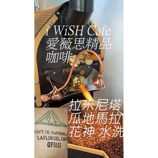 拉米尼塔 瓜地馬拉 花神 水洗 淺中焙 精品咖啡豆半磅 PROBAT烘豆機烘焙【i WiSH Cafe 愛薇思精品咖啡】