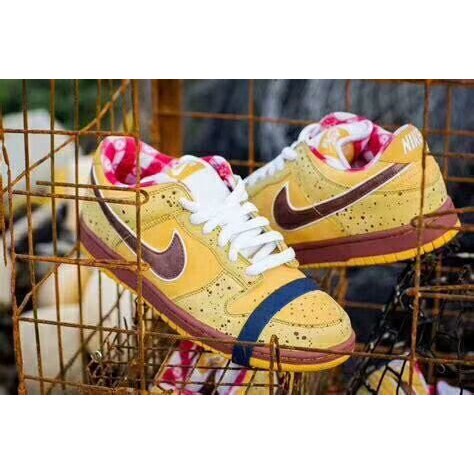 concepts x nike sb dunk low