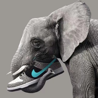 【Focus Store】 Nike SB Dunk Low Clear Jade 大象 BQ6817-009
