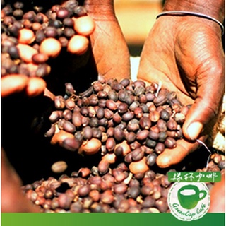 衣索比亞 耶加雪飛 娜姐兒 G3 日曬處理法 半磅咖啡豆