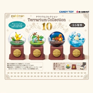【LUNI 玩具雜貨】Re-MeNT 精靈寶可夢寶貝球 生態球 水晶球 P10 盒玩 整套六款