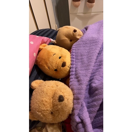 維尼熊睡覺娃娃蓋棉被 許小熊專用
