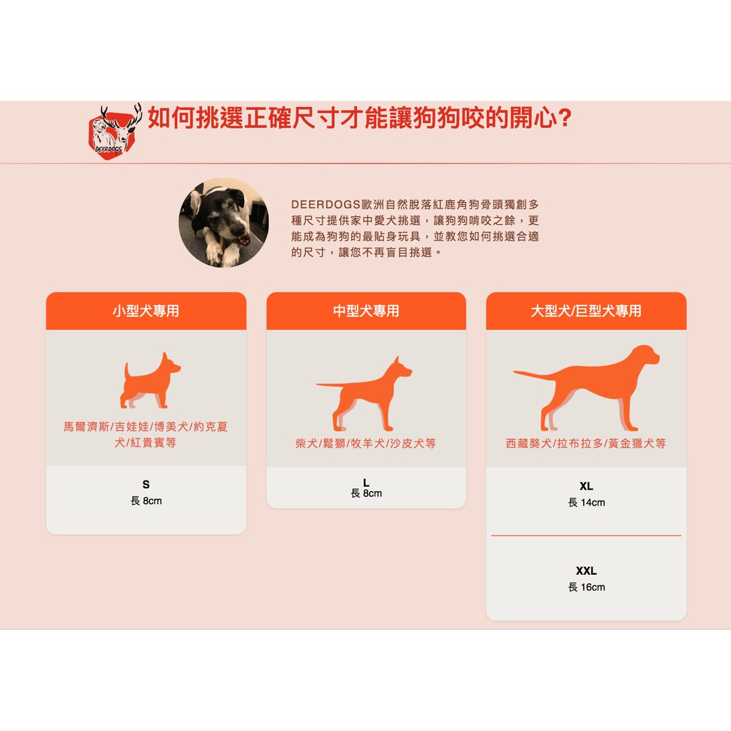 Deerdogs 歐洲自然脫落紅鹿角狗骨頭l號12cm 適合大型犬 巨型犬寵物點心毛小孩玩具鹿角玩具寵物磨牙 蝦皮購物
