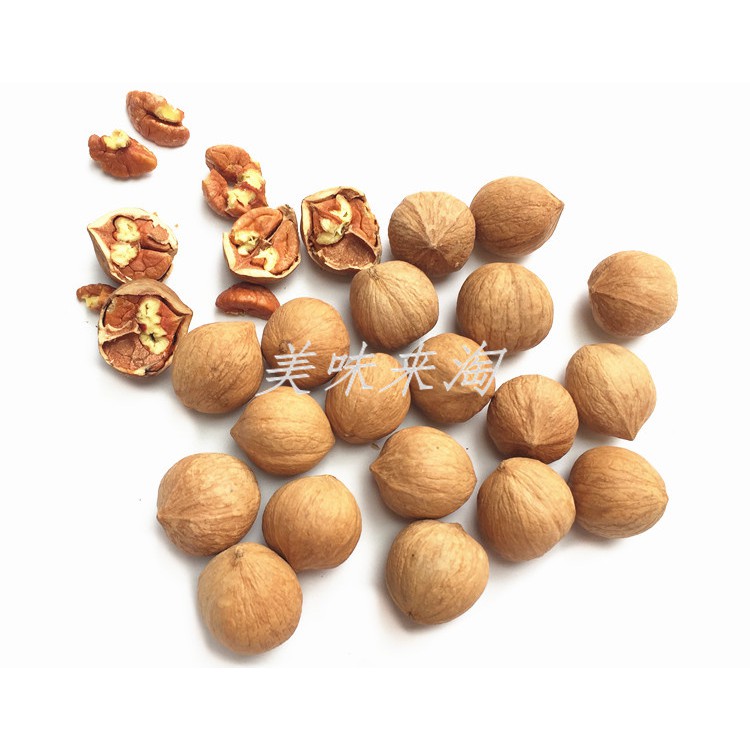 <五寶松鼠堅果雜貨舖>生胡桃薄皮肉满*松鼠飛鼠大赤鼯鼠鸚鵡磨牙零食*