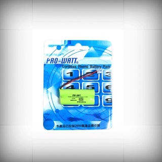 PRO-WATT華志 2.4V 800mAh 無線電話充電池