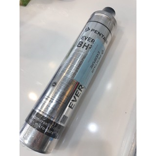 【Hen 好康】愛惠浦 Everpure BH2 濾芯(平行輸入)