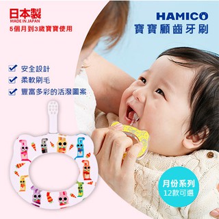 現貨 日本 Hamico 寶寶顧齒器 牙刷 - 月份系列(12款任選) 日本製