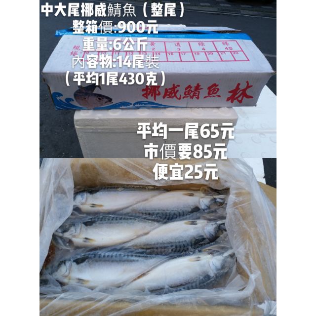 挪威鯖魚整尾 14尾入 蝦皮購物