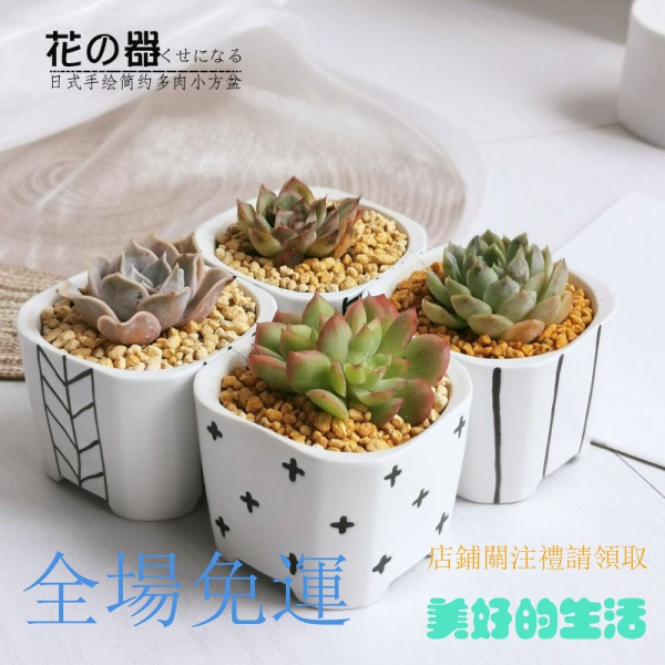 美好的生活 日式簡約陶瓷多肉花盆綠植盆栽容器手繪多肉花盆植物容器多肉植物花器容器陶瓷花盆桌面 蝦皮購物