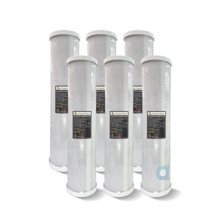 CLEAN PURE 20英吋大胖壓縮柱狀活性碳濾心(6支入) 台灣製造 SGS食品級認證 全戶過濾 水塔