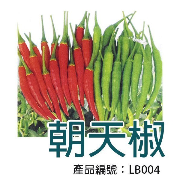 【醬米資材】DIY種子栽種 成就滿滿~朝天椒