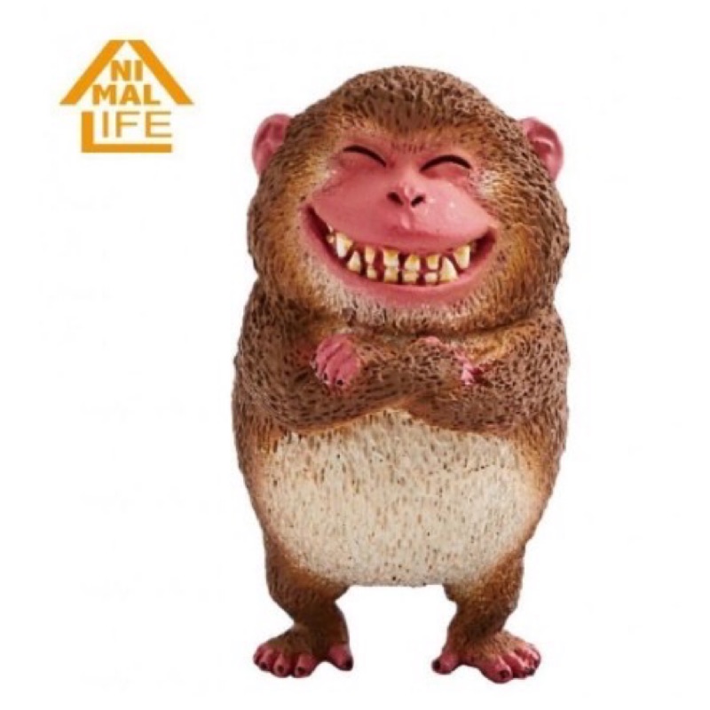 Animal Life 朝隈俊男 圓滾滾系列-笑嘻嘻  單售猴子