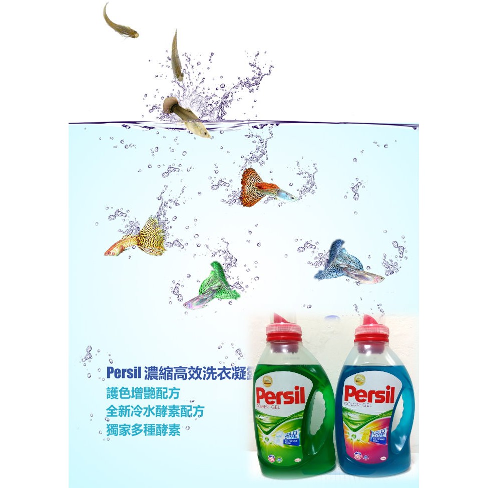 【油購網】Persil 洗衣精 寶瀅 濃縮 強力洗淨 綠色 / 增豔護色 藍色 洗衣凝露 1.46 L 好市多 隨身瓶