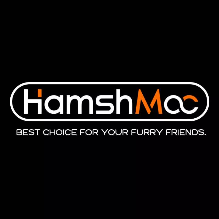HamshMoc 寵物LED發光吊墜狗牌吊飾 寵物燈 可搭配項圈胸背牽繩 防走失夜間遛狗神器 貓狗通用【現貨速發】