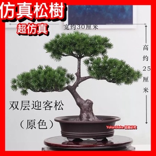 🌵模擬松樹🌵盆栽擺件假樹大迎客松塑膠盆景模擬松樹室內綠色植物裝飾