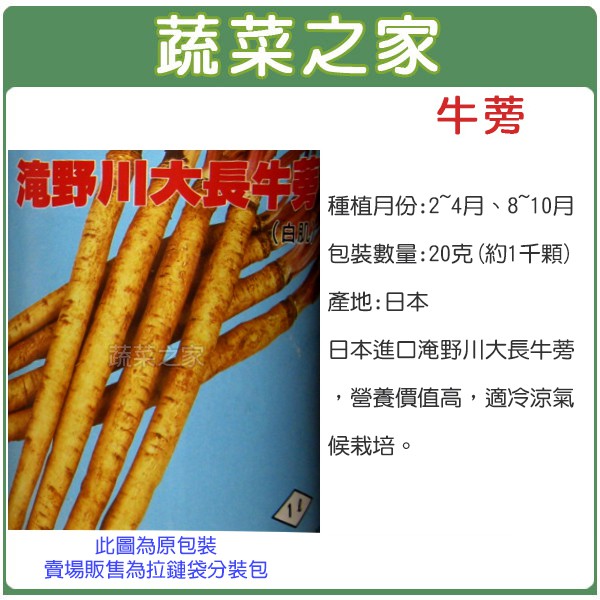 00c10 大包裝 牛蒡種子克 日本進口淹野川大長牛蒡 營養價值高 適冷涼氣候栽培 蔬菜種子 蝦皮購物