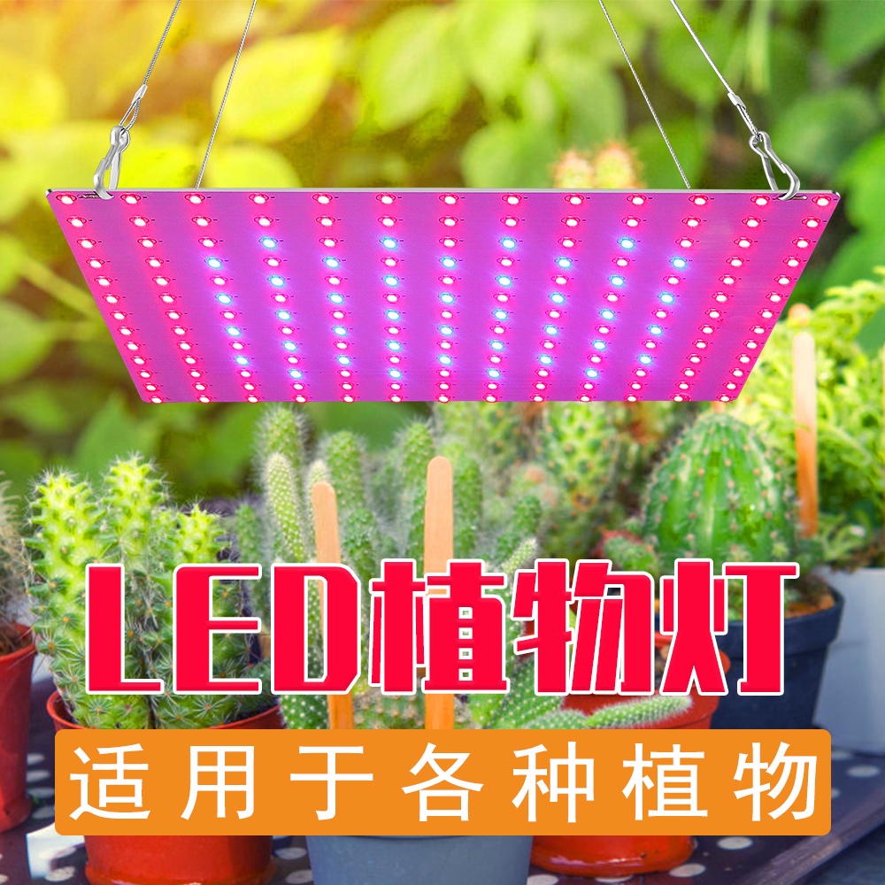 1000w 植物生長燈量子板 LED 植物全光譜 AC85-265V Phyto 燈溫室育苗培養 LED 種子 220V