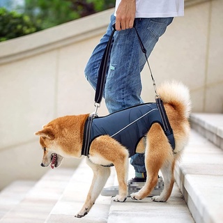 （關愛老年犬）Shiba 新款高龄犬輔助服殘疾狗外出輔助腰帶步行障礙狗護理服