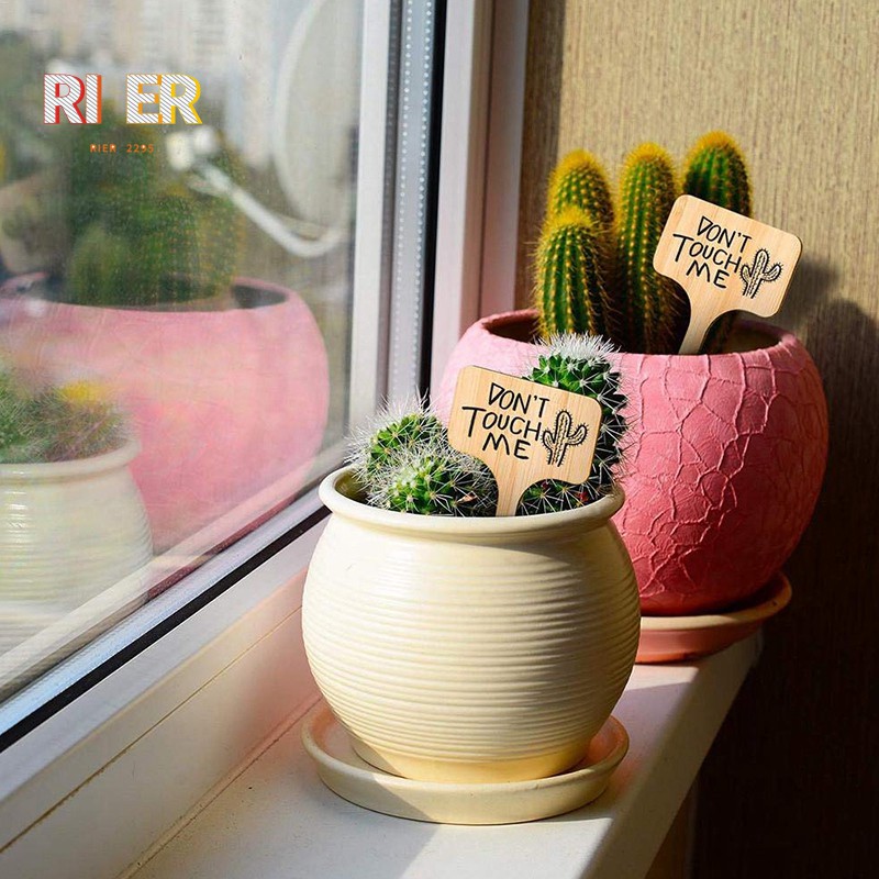 戶外花園的植物標籤60個3種矩形橢圓形心形植物標籤用於蔬菜 植物和花卉的花園標記 蝦皮購物