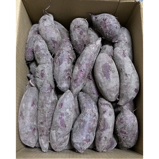 紫心蕃薯 紫色地瓜 紫玉地瓜 地瓜 台農 73號 蕃薯 8 斤一箱